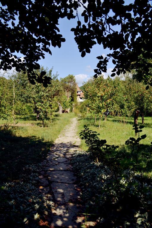 Villa Castelul Maria Banpotoc Esterno foto