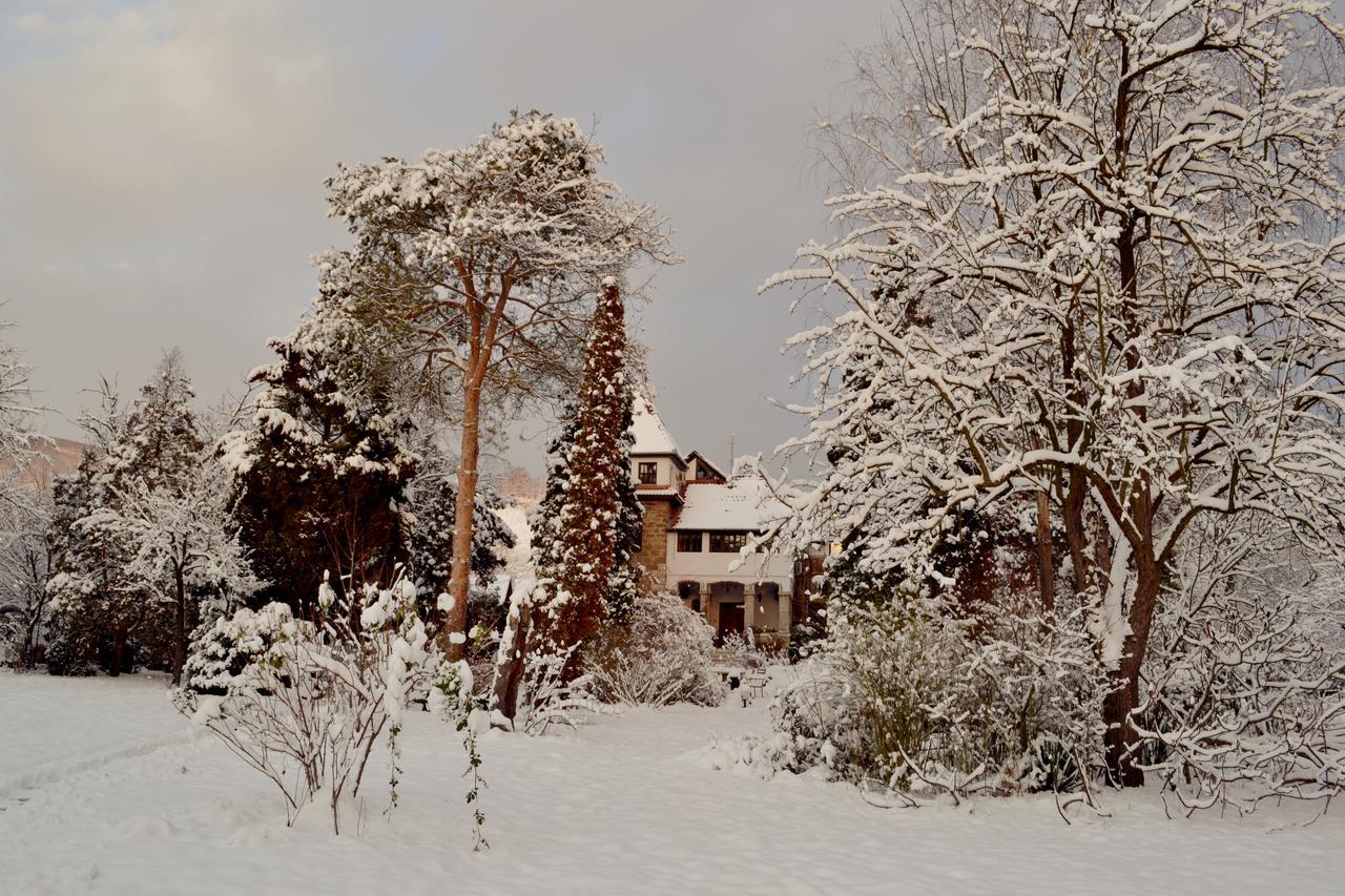 Villa Castelul Maria Banpotoc Esterno foto